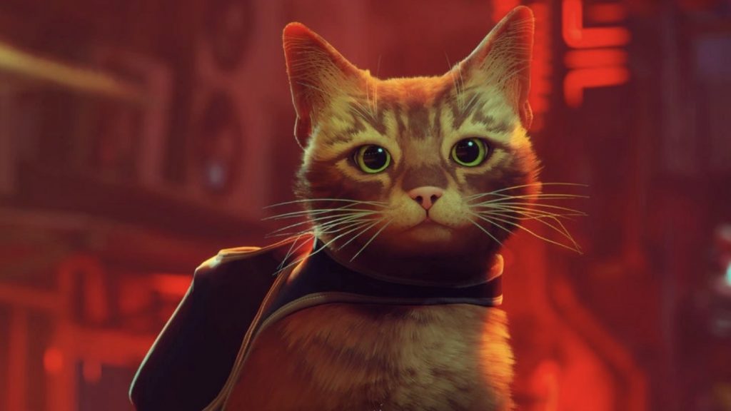 Watch Pets Go Nuts Over Smash Hit Stray Beyondgames Biz